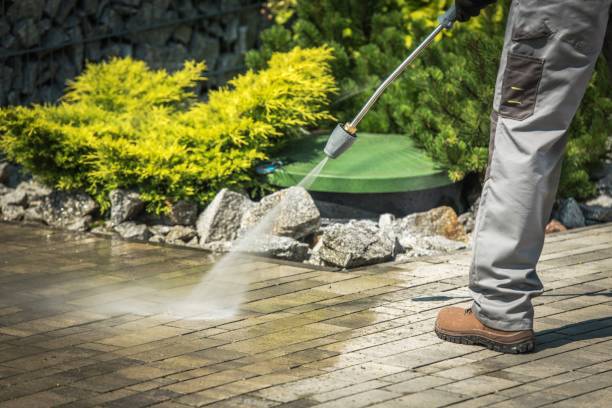 Best Solar Panel Cleaning  in Mustang Ridge, TX